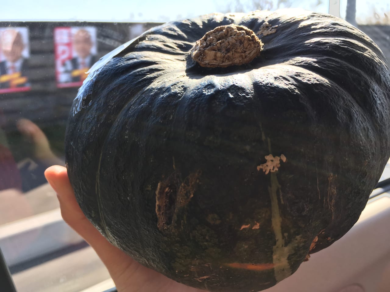 かぼちゃ割のためのかぼちゃ